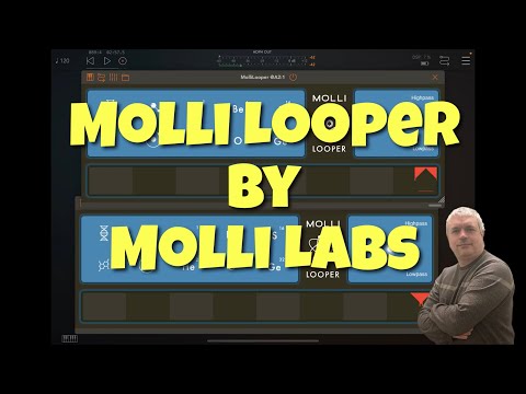 Molli Labs Molli Looper - Tutorial and Demo
