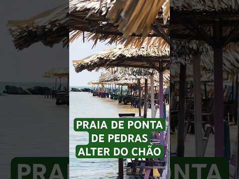 ALTER DO CHÃO PRAIA PONTA DE PEDRAS ✈️🌍 GUIABRASILIA 2026