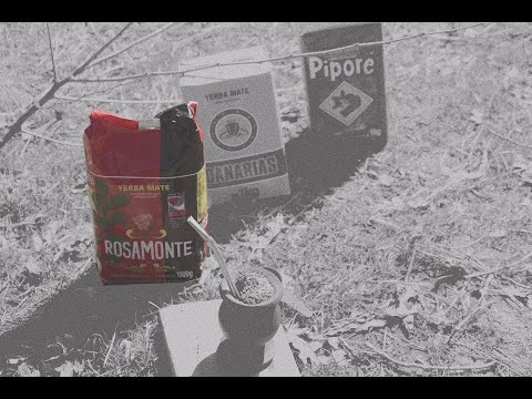 Rosamonte Yerba Mate Review