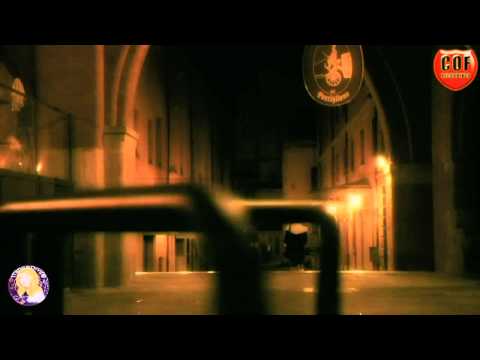 Denis Sender ft Irina Makosh   Wait For Me Denis Sender Sunset Chill Mix Music Video