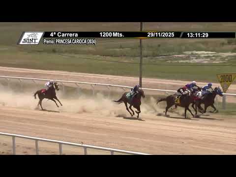 SINT MELO 251129 c04 - TAP IT SPRING