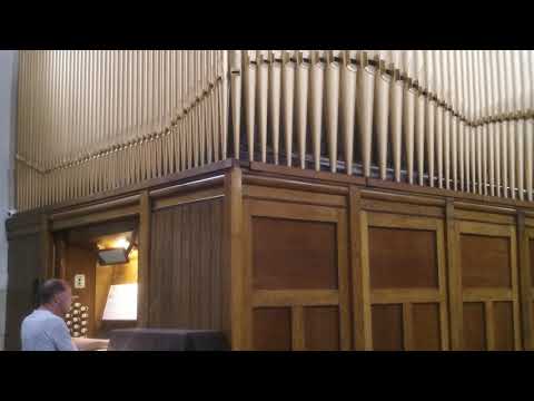 Jesu bleibet meine Freude - J.S.Bach (arr. Maurizio Machella)