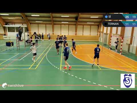 Mansunglingar Landskapping SÍ - Ternan