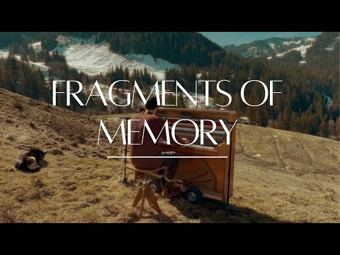 Nicholas Bamberger - Fragments of Memory