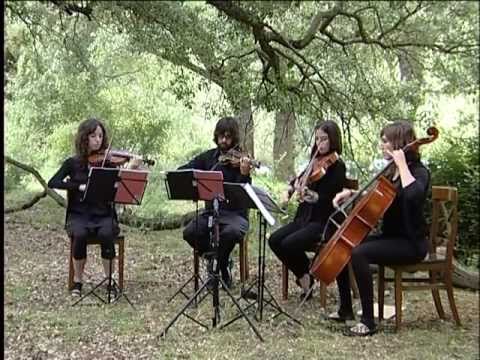 Nebari Cuarteto de cuerda, Robledal de Artamendía en Aibar-Oibar