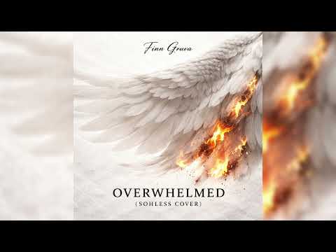 Finn Gruva - Overwhelmed(SOHLESS Cover)