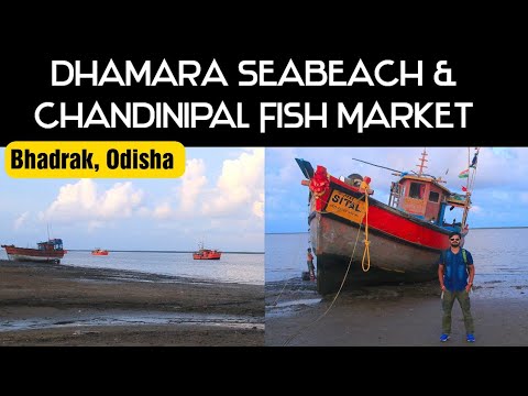 DHAMARA SEA-BEACH || BHADRAK SEA-BEACH || CHANDINIPAL FISH MARKET & FISH AUCTIONS || #takeatrip