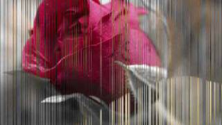 Love Can Break Your Fall.wmv