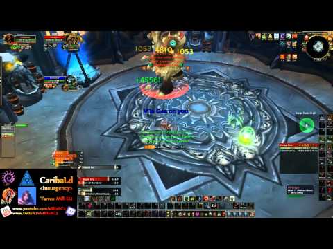 World first solo (hunter): CaribaLd vs Festergut (10 man heroic)