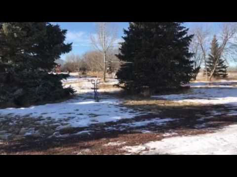 Trex 600 pixhawk test flight