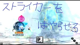 メイプルストーリー　暗黒　PT　ストライカー