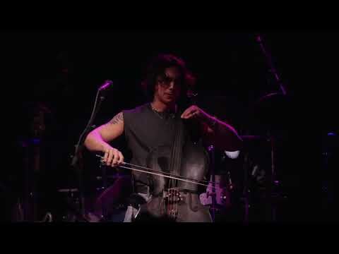 The Happy Fits - Do You See Me? - Live at The Bearsville Theatre