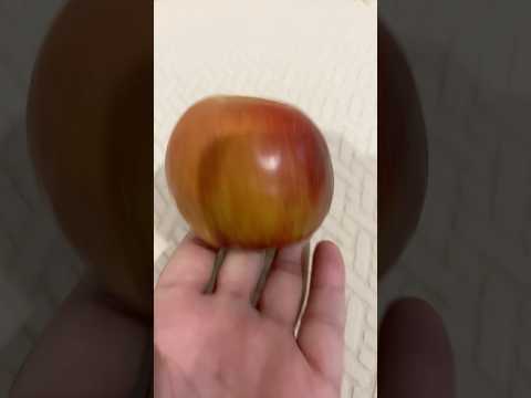 Ringtone evolution #play with apple 🍎