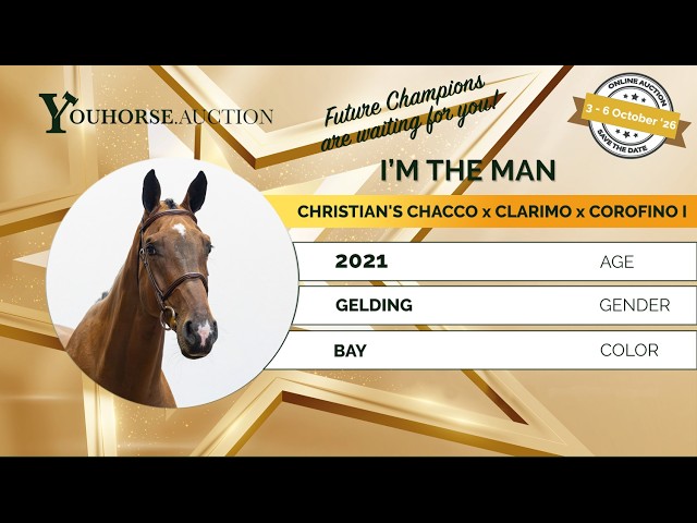 I'm the Man showvideo