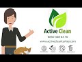 Active Clean Plus Kedi Kumu Koku Giderici 420gr