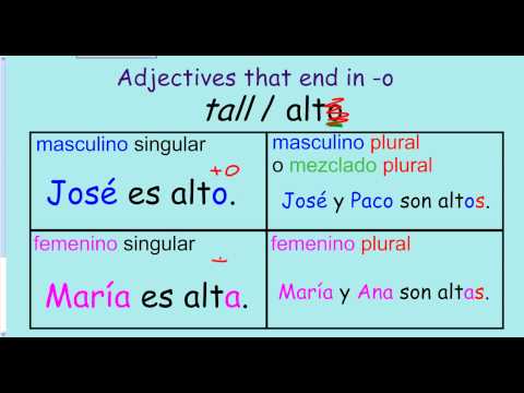 The verb SER and adjectives (descriptions) in Spanish