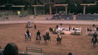 preview picture of video 'South Carolina Championship 2010 Park Pleasure Stake'