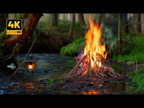 4K Campfire by the River of Hope 🌿Soothing Sounds of pure Nature