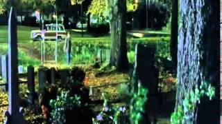 Sin Bandera No neguemos el amor.HD.NwO