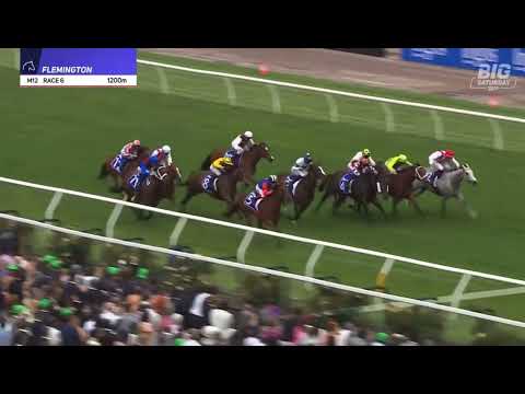 SUNSHINE IN PARIS | DARLEY CHAMPIONS SPRINT GROUP 1 FLEMINGTON 2024