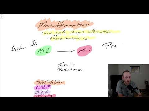 Metaflammation - What is it?