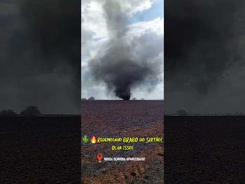Redemoinho no Sertão🌵🔥#nordeste #nossasenhoraaparecida #furacao #natureza #fantastico