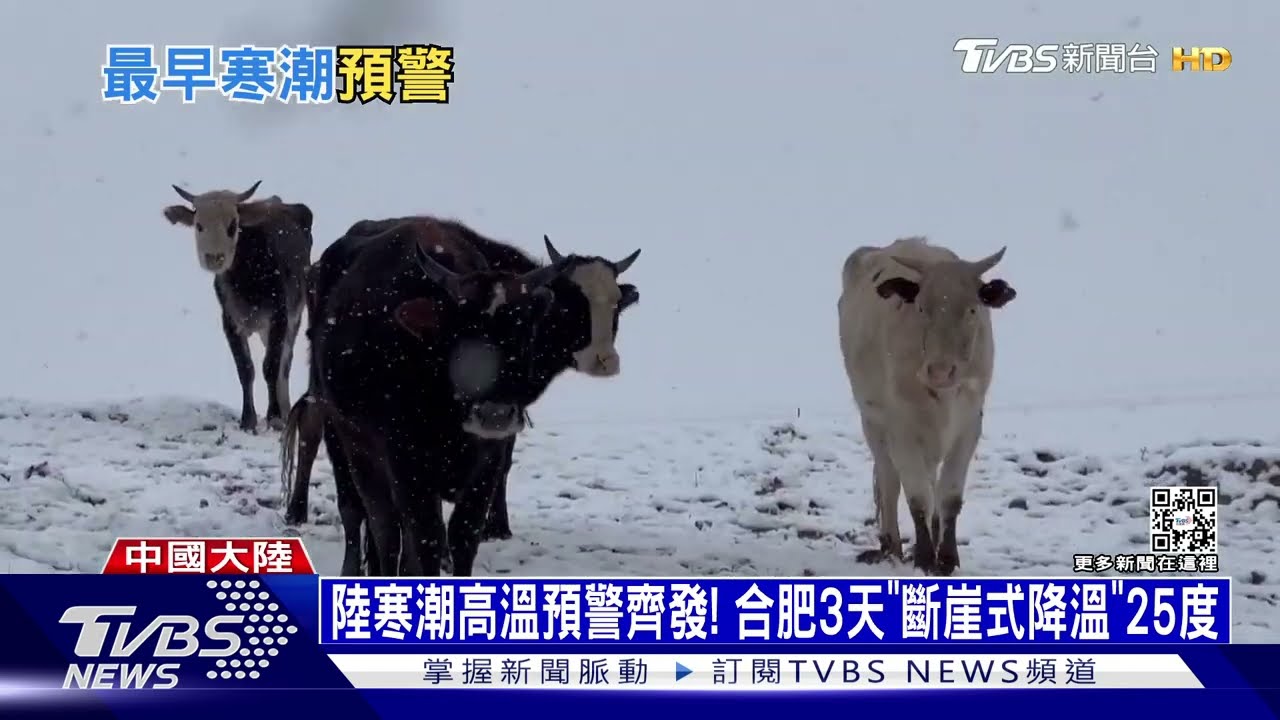 陸寒潮高溫預警齊發！　合肥3天「斷崖式降溫」25度