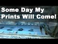 Some Day My Prints Will Come!!!