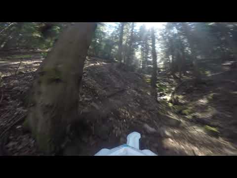 GASGAS EC 300 GP "La Scotich" Trail