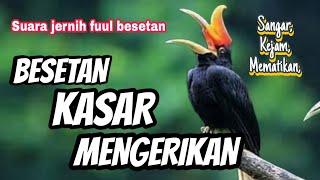 Download lagu BESETAN MENGERIKAN! Masteran kasar ditakuti lawan cocok buat MURAI mp3 Download lagu BESETAN MENGERIKAN! Masteran kasar ditakuti lawan cocok buat MURAI mp3