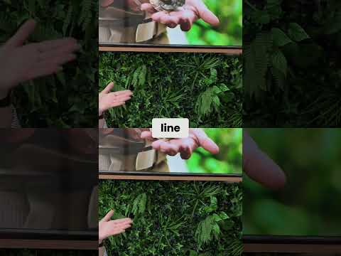 Thumbnail for Regent Cruises: First-Timers' Luxury & Personal Service WOW Moments!