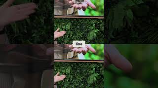 Regent Cruises: First-Timers' Luxury & Personal Service WOW Moments!