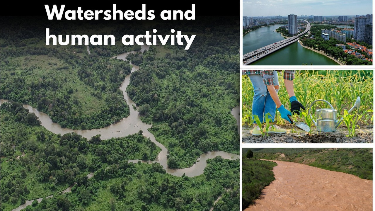 Watersheds and human activity | Middle school Earth and space science | Khan Academy