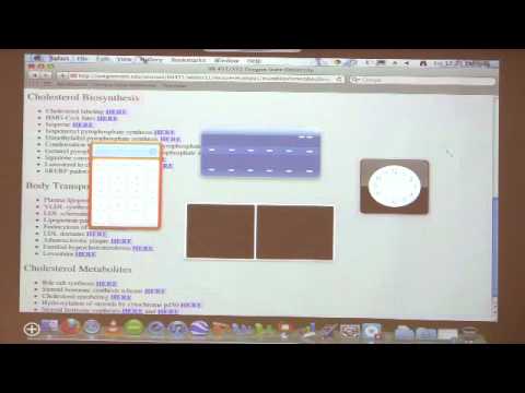 Kevin Ahern's Bite-Sized Biochemistry #34 - Metabolic Control / Lipid Metabolism