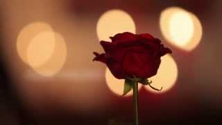 POUR MOI, POUR TOI...