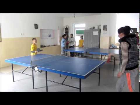 Stonitenis mec Darko - mama