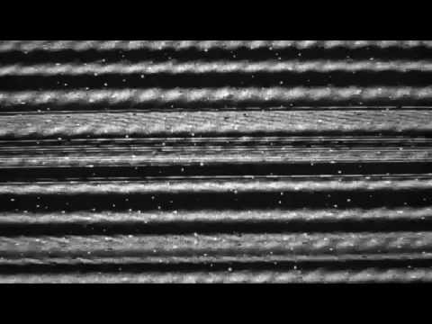 DRUM N BASS FESTIVAL - AUGUST 8/9th 2014