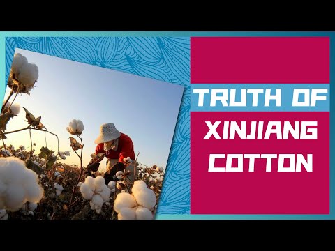 The truth behind Xinjiang cotton [ENG SUB]