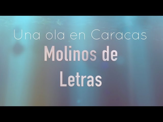 Vídeo relacionado con La ola detenida