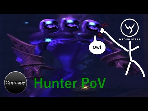 Wrong Strat Oppzippy vs Mythic Chronomatic Anomaly | Hunter PoV
