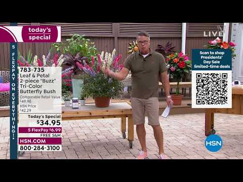 Leaf   Petal 2piece "Buzz" TriColor Butterfly Bush