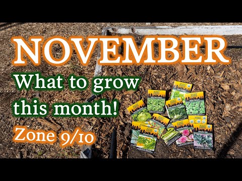 , title : 'Vegetables, Herbs & Flowers to Plant in November in Zones 9 & 10'