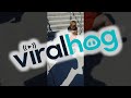 Baby Sister Is Overjoyed When She See S Brother After School ViralHog