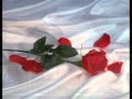 PIMPINELA- MARIDO Y MUJER.wmv 