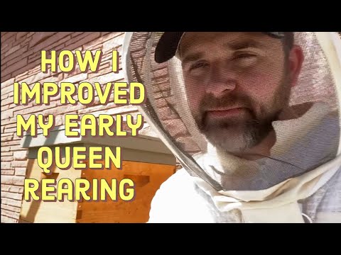 Help Your Early Splits Succeed With This One Piece of Equipment!