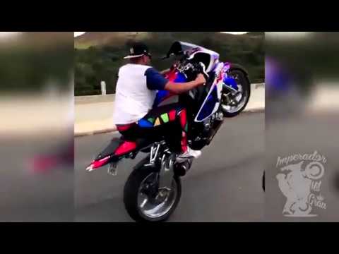 OS MELHORES GRAU DE CARENADA ATÉ O MOMENTO 2018