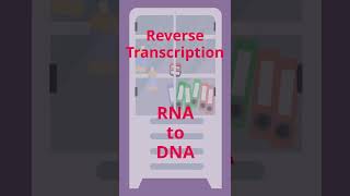 What is COVID-19 RT-PCR  testing