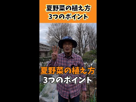 上手に種を蒔く方法