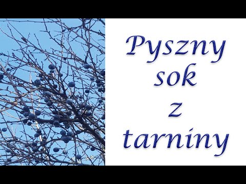 Sok z tarniny   szybki i łatwy przepis