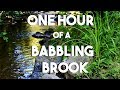 NO ADS || One Hour of Babbling Brook Sounds || Soothing Bubbles || Sleep, Work, Study